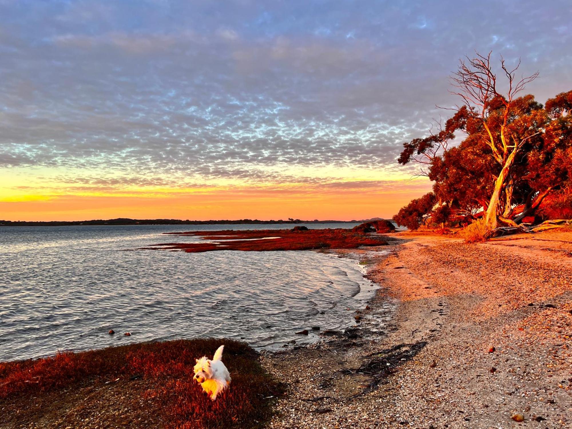 Sunrise On Falie Seaview Eco Accommodation 美洲河 外观 照片